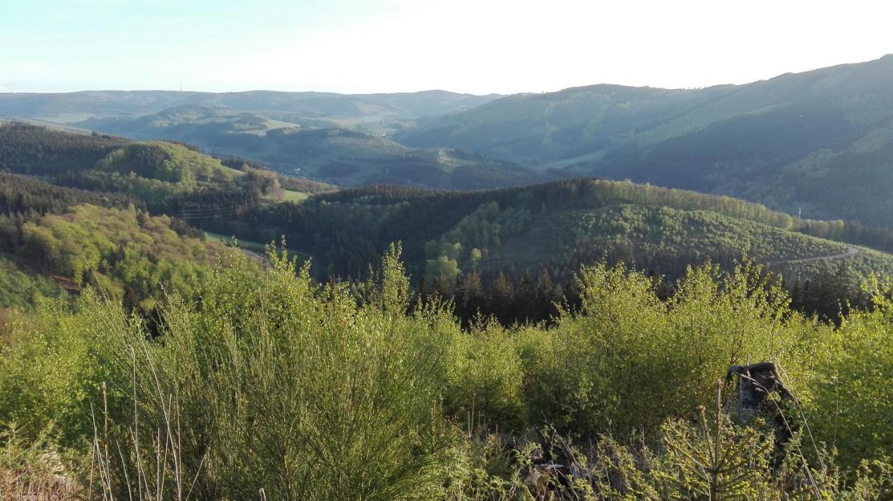 Ferienwohnung Sauerland Fernblick Ольсберг Экстерьер фото